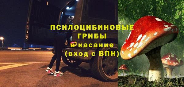 гидра Верея