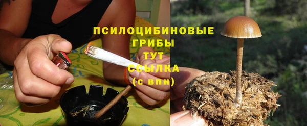 скорость Сосновый Бор