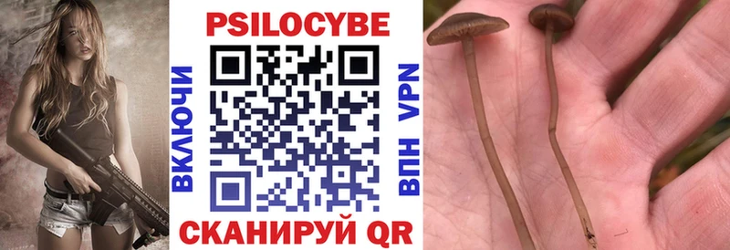 дарк нет как зайти  Тобольск  Галлюциногенные грибы Magic Shrooms 